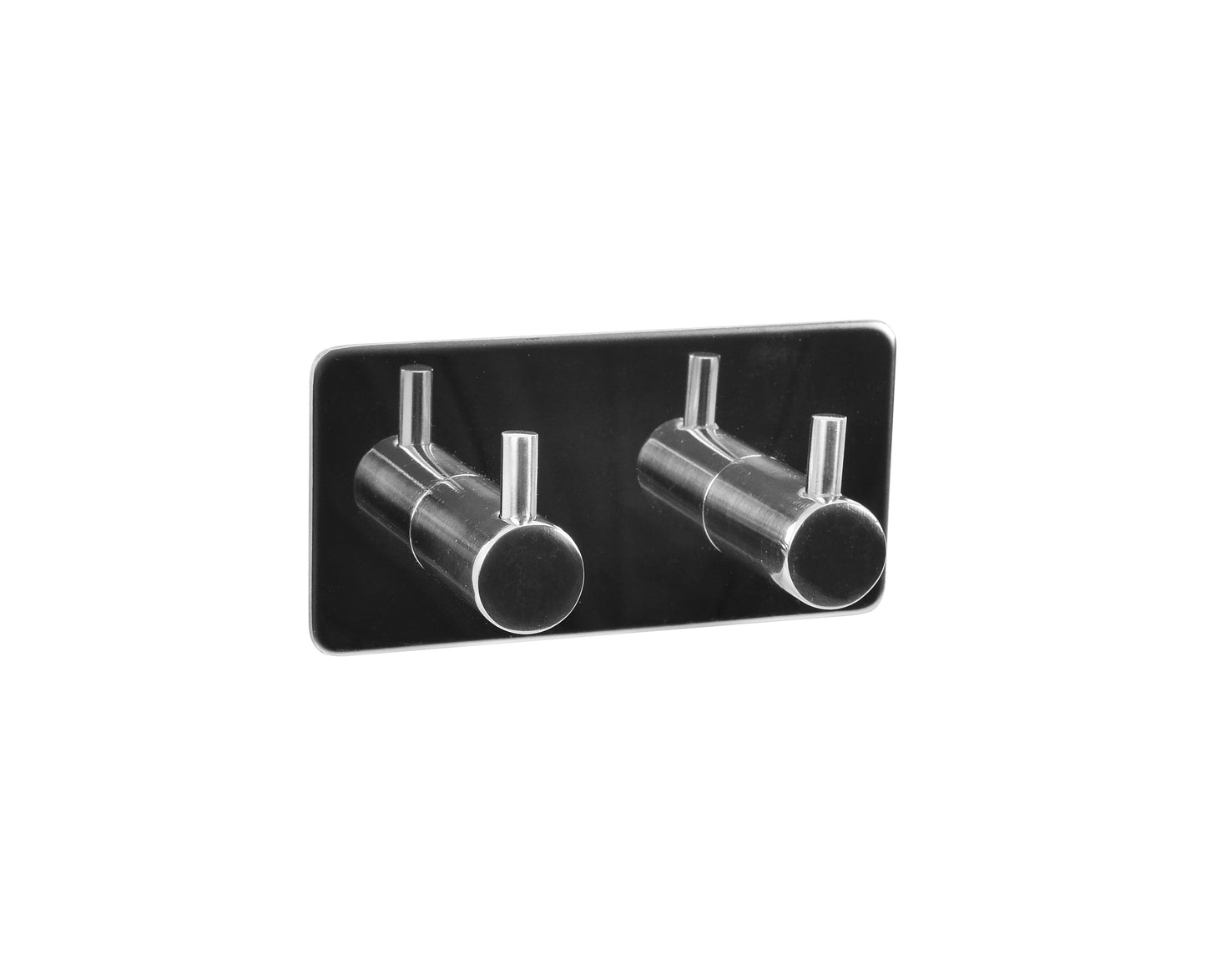 RIO Hook with 2 hooks